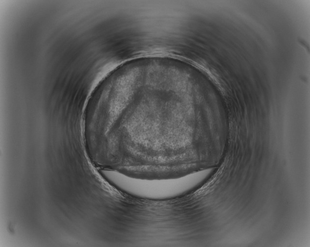 X0000097861424200804041519