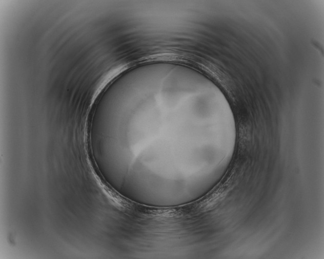 X0000097861426200804041519