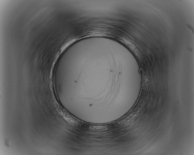 X0000097861427200804041519