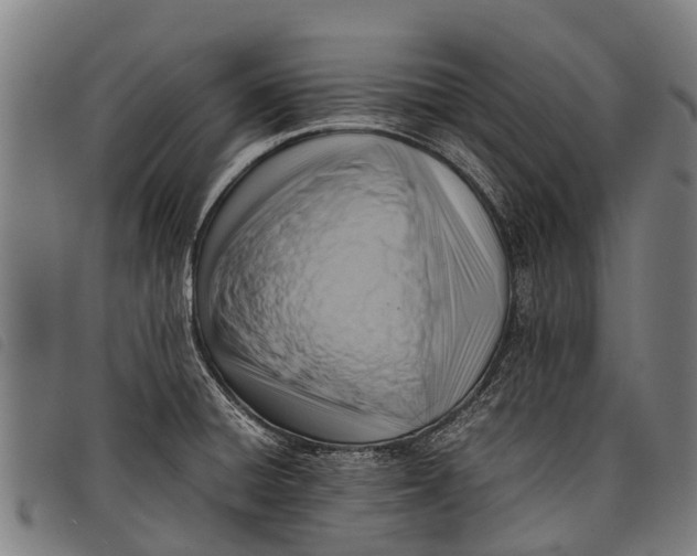 X0000097861428200804041519