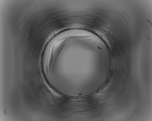 X0000097861429200804041519