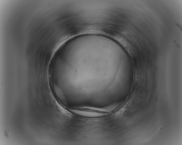 X0000097861430200804041519