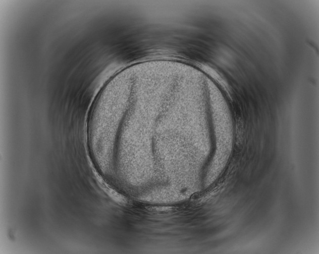 X0000097861431200804041519