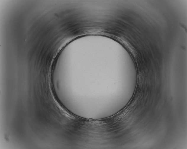 X0000097861432200804041519