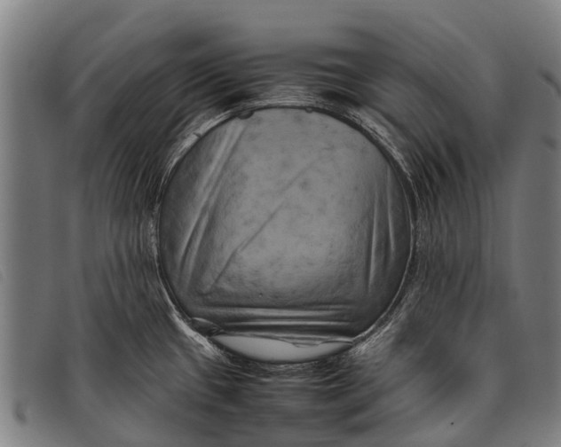 X0000097861433200804041519