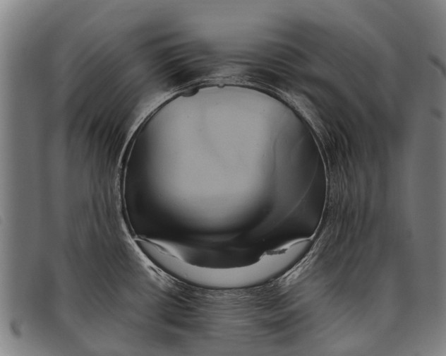 X0000097861434200804041519