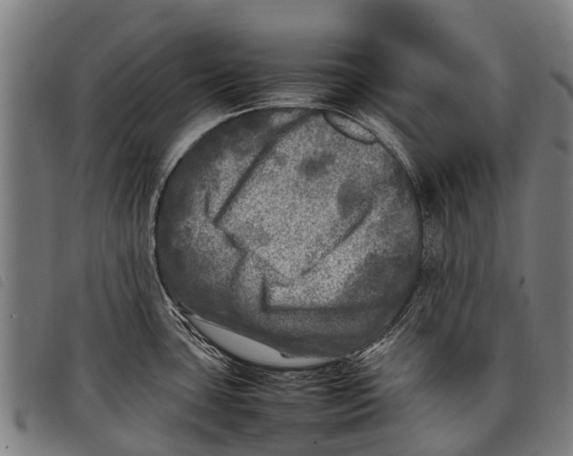 X0000097861435200804041519