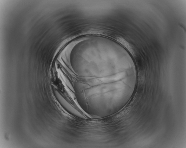 X0000097861436200804041519