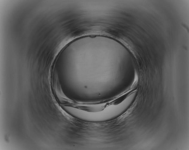 X0000097861438200804041519