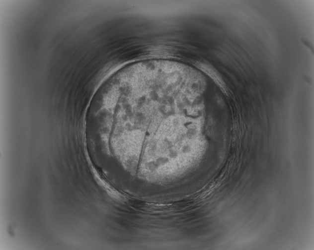 X0000097861439200804041519