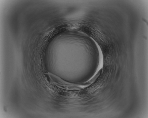 X0000097861441200804041518