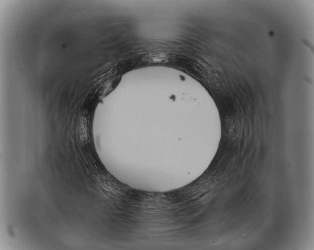 X0000097861442200804041518