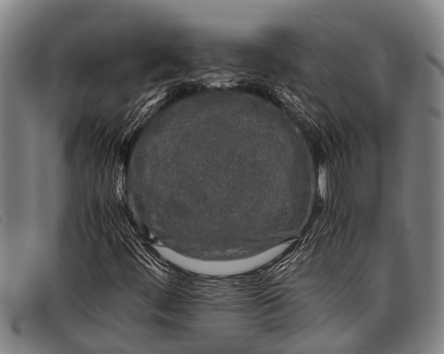 X0000097861444200804041518