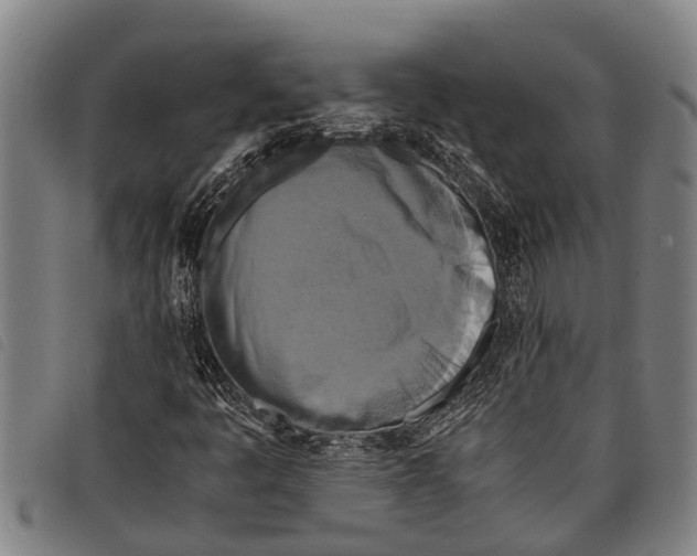 X0000097861445200804041518