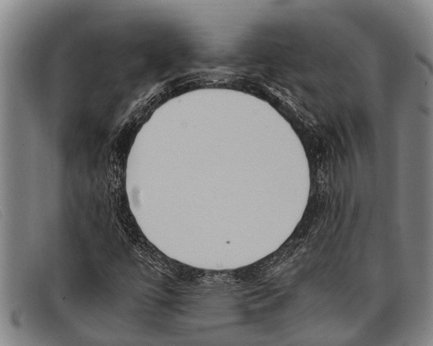 X0000097861447200804041518