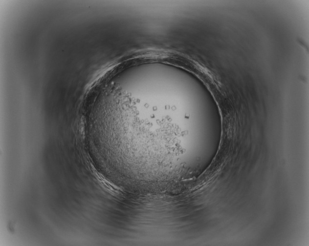 X0000097861448200804041518