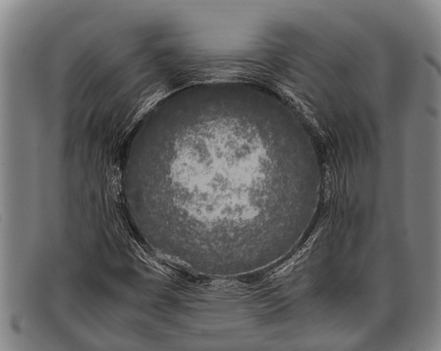 X0000097861449200804041518