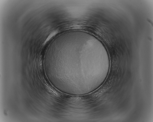 X0000097861450200804041518