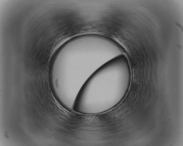 X0000097861452200804041518