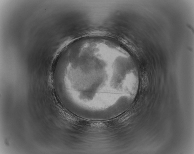 X0000097861454200804041518