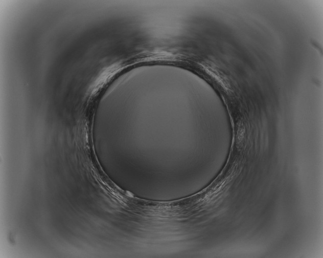 X0000097861455200804041518