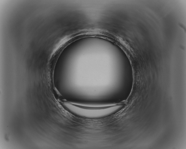 X0000097861456200804041518