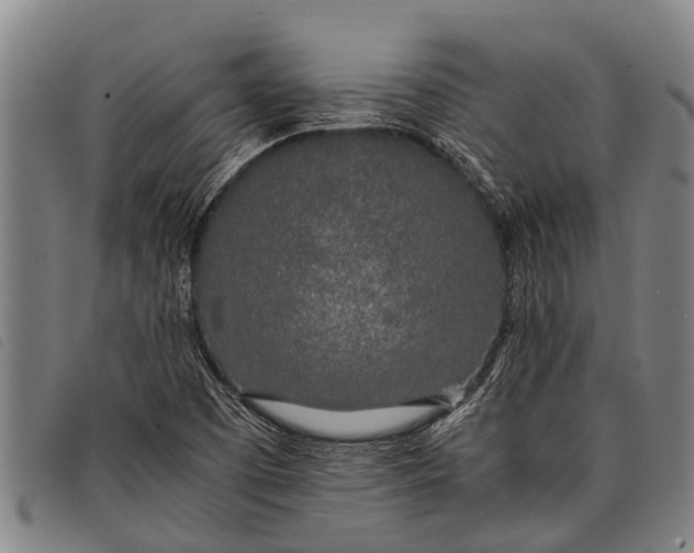 X0000097861457200804041518