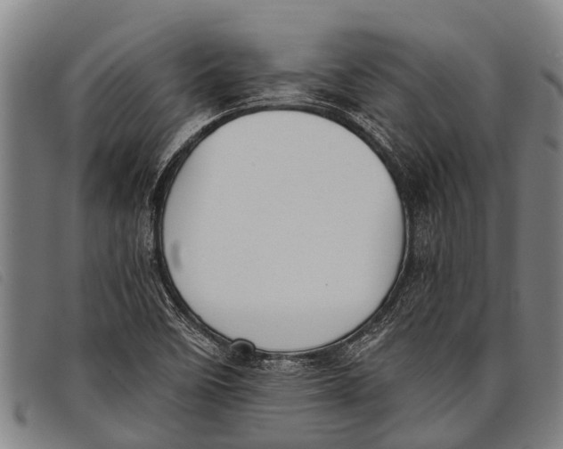 X0000097861458200804041518