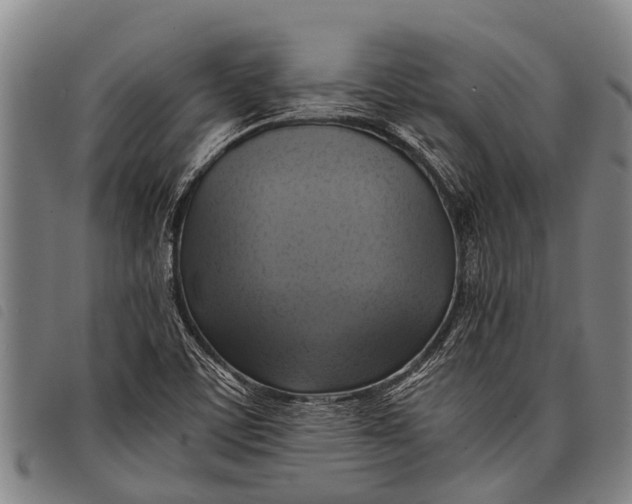 X0000097861459200804041518