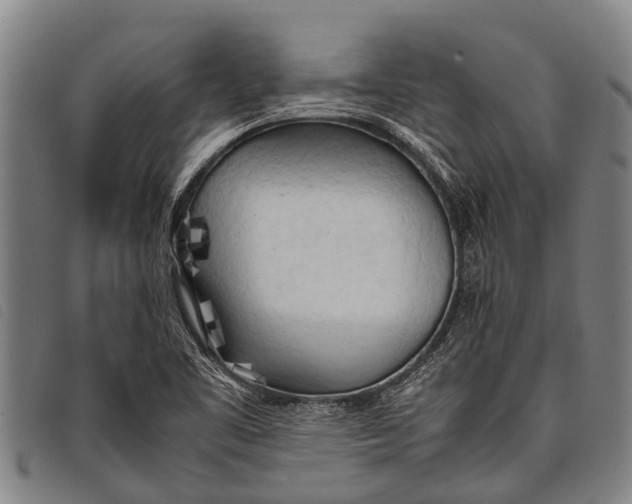 X0000097861461200804041518