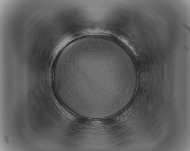 X0000097861463200804041518