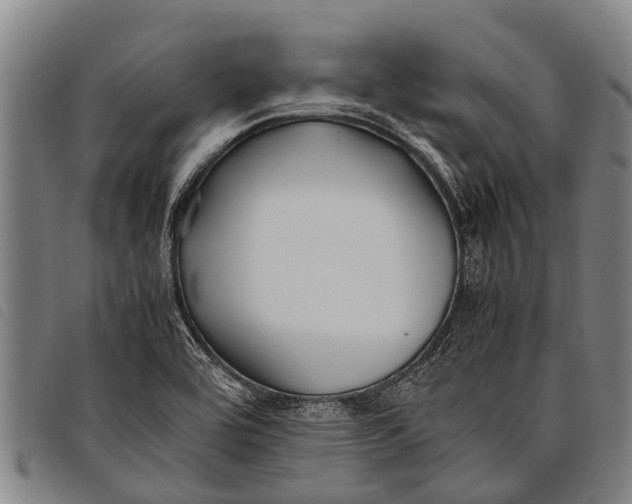 X0000097861464200804041518