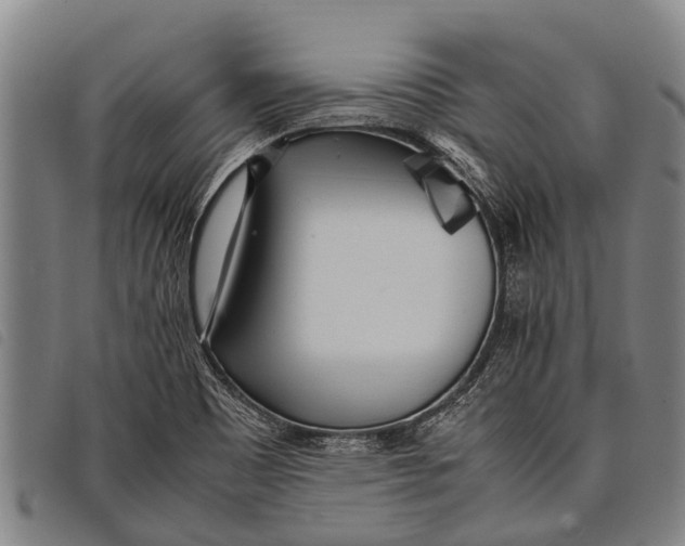 X0000097861465200804041518