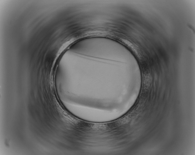 X0000097861466200804041518