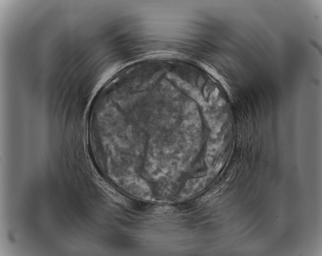 X0000097861467200804041518