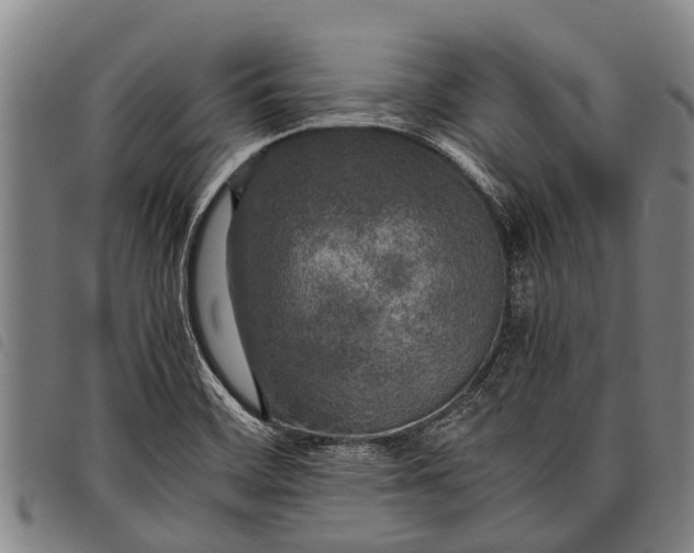 X0000097861468200804041518