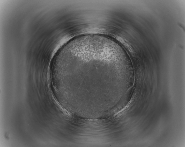 X0000097861469200804041518