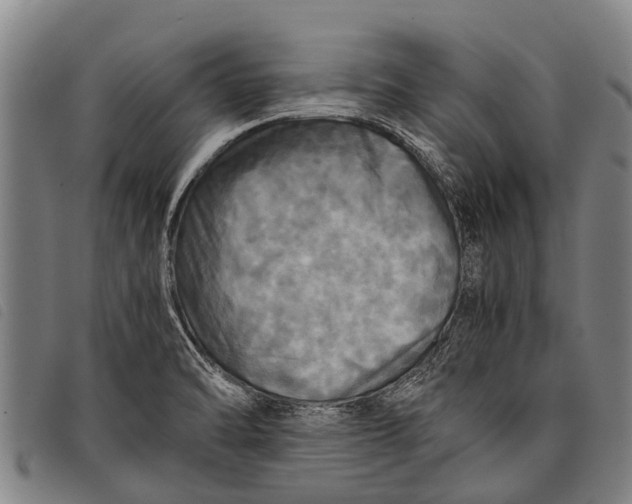 X0000097861470200804041518