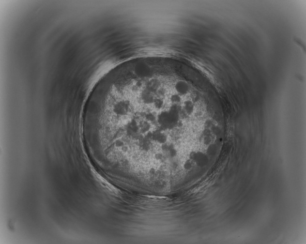 X0000097861471200804041518