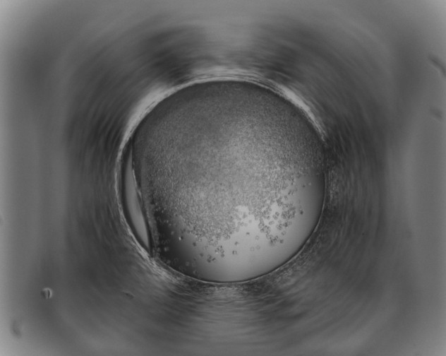 X0000097861472200804041518