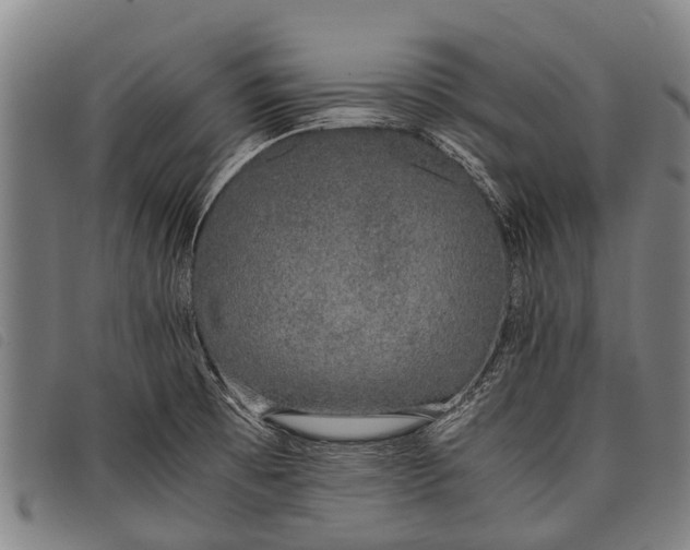 X0000097861473200804041518