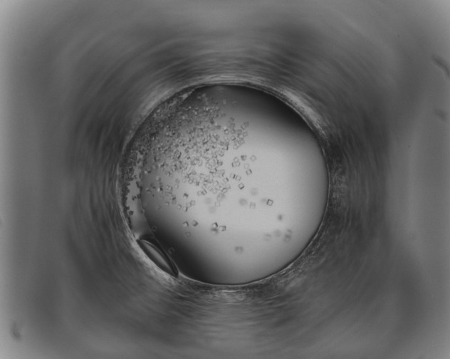 X0000097861476200804041518