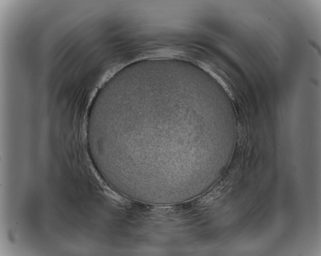 X0000097861477200804041518