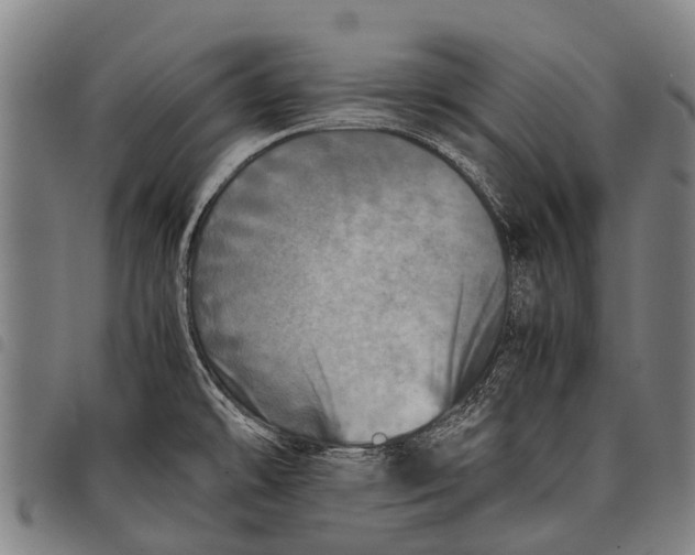 X0000097861478200804041518