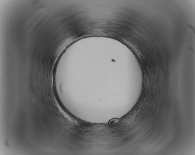 X0000097861479200804041518