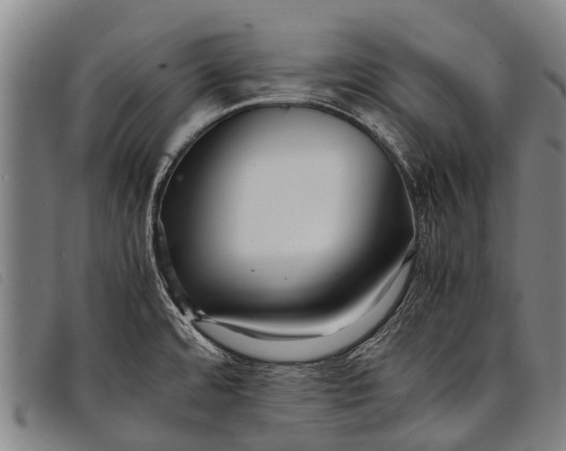 X0000097861480200804041518