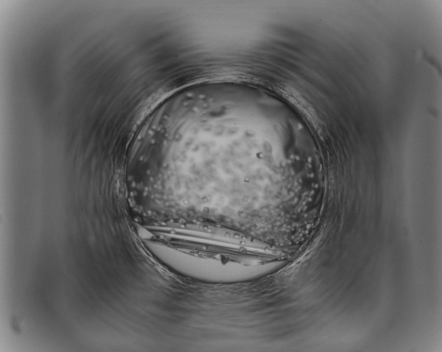 X0000097861481200804041518