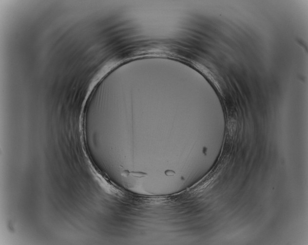 X0000097861482200804041518