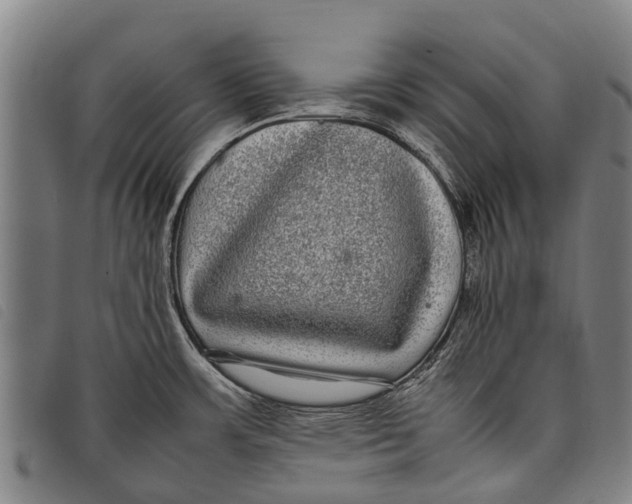 X0000097861483200804041518