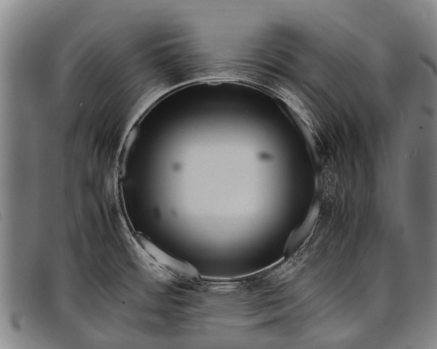 X0000097861484200804041518